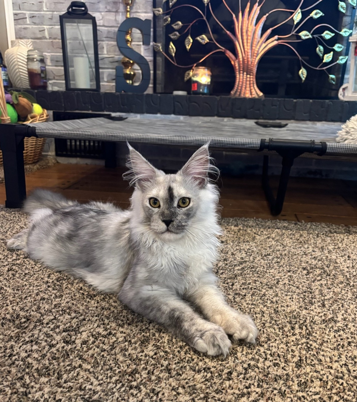 Caspian — SST the Ice King of the Silver Keep